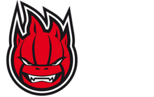 Sir Safety Perugia