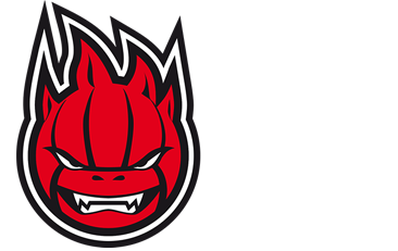 Sir Safety Perugia